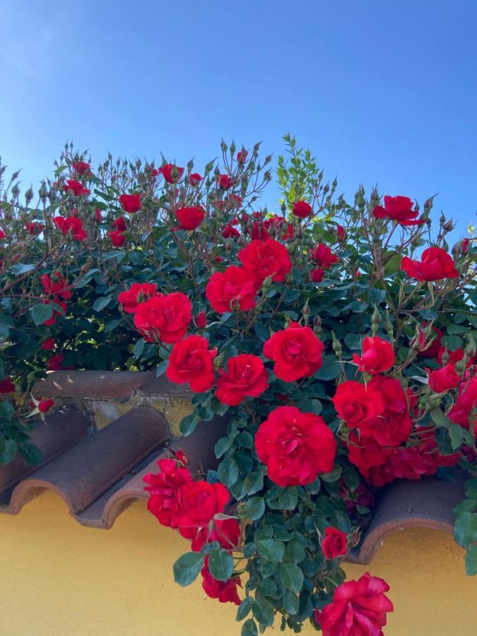 La Rosa del lago Bracciano (Rome) Exterior foto