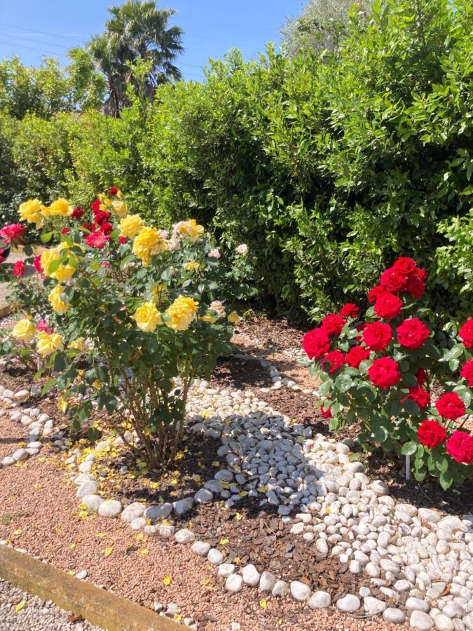 La Rosa del lago Bracciano (Rome) Exterior foto