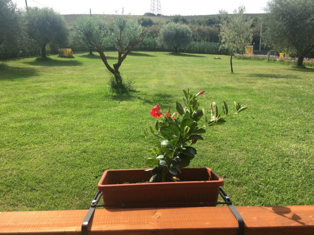 La Rosa del lago Bracciano (Rome) Exterior foto